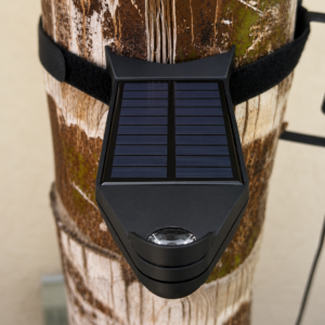 Sunvios Elevate